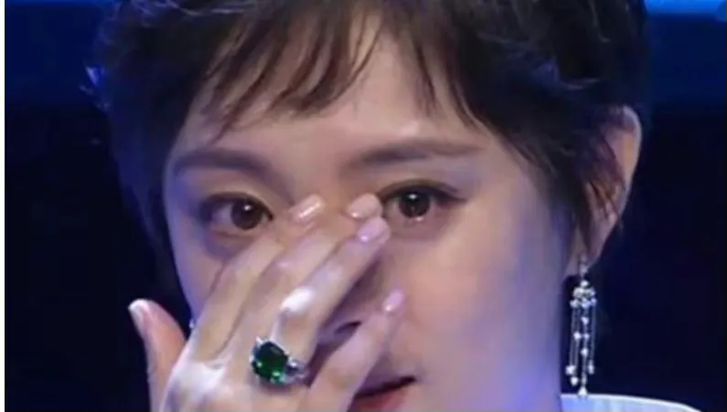 19年前，孙俪资助了“白眼狼”向海清，但她从未想过，会走到今天