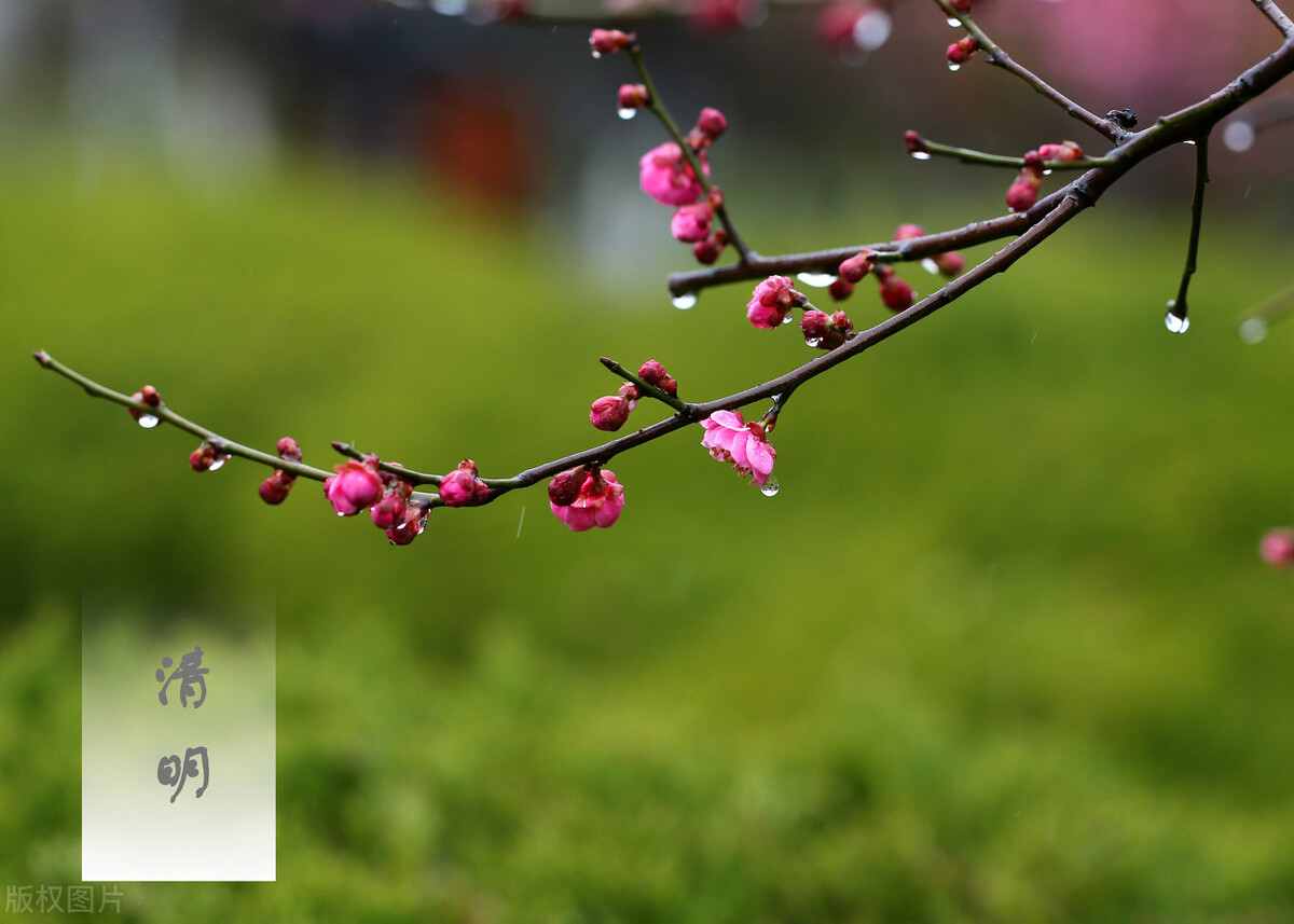 Ĺ���ϵ�&ldquo;�ʡ��ȡ��ԡ�������&rdquo;��������ɶ��˼����ǧ�����