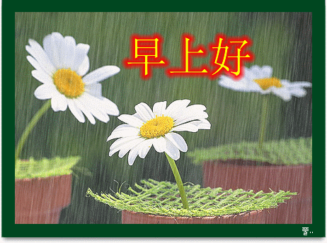 春日微信最新早上好动态表情图片大全，春日清晨早上好问候语图片