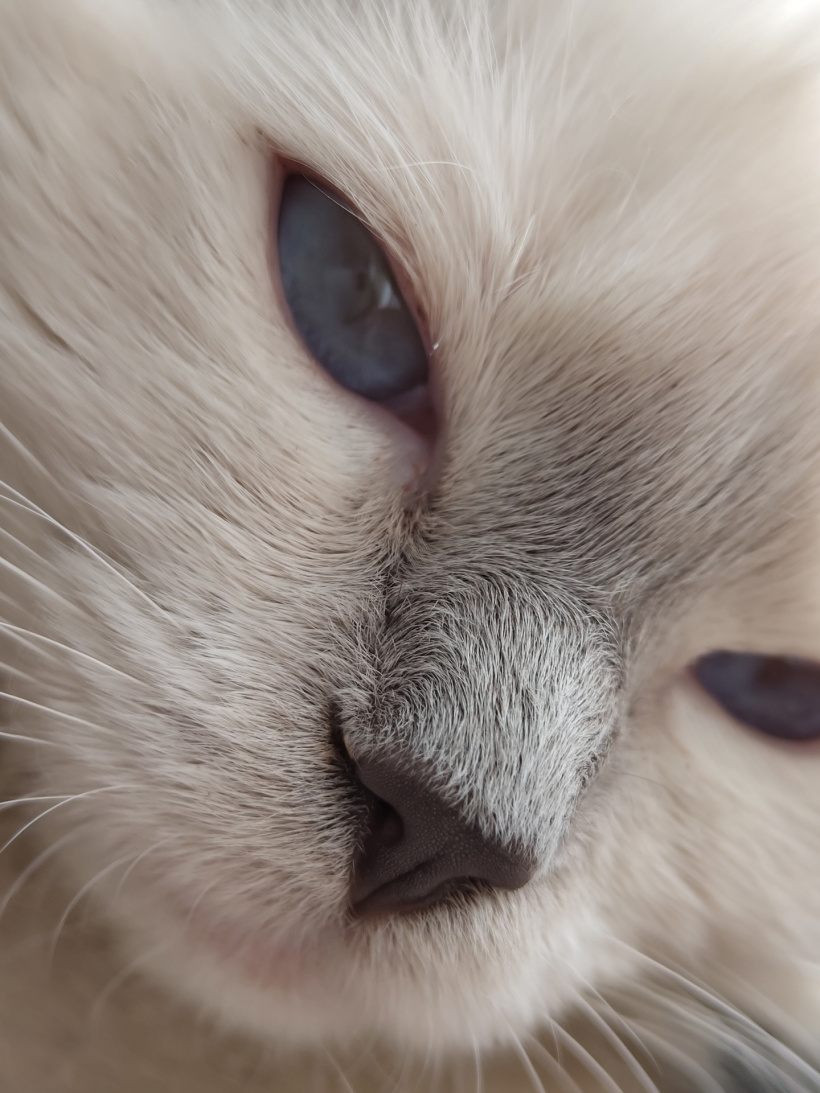 灯带手机Nothing Phone 发布，骁龙778G+卖3.2K，双5000W像素镜头