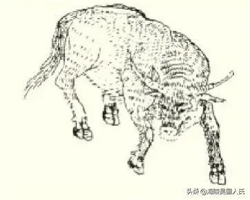 国学《山海经》东山三经——精精，一头牛长着马尾巴