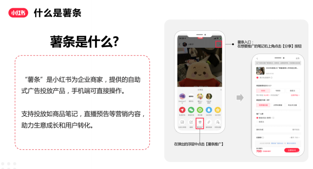 如何撰写一份合格小红书投放方案？