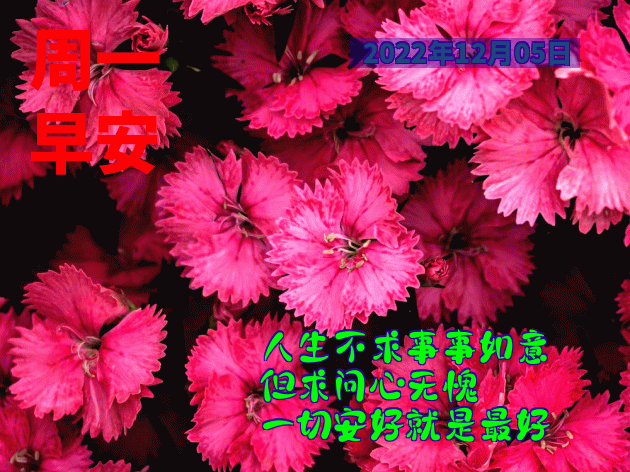 今日份漂亮早上好表情包图片 祝你开心愉快、幸福安康图片