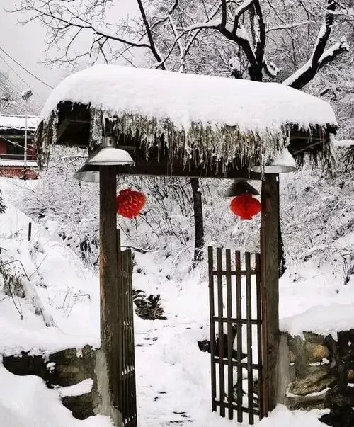 大雪下了一夜描写雪景的诗句古诗(今日大雪且向诗中觅雪景)