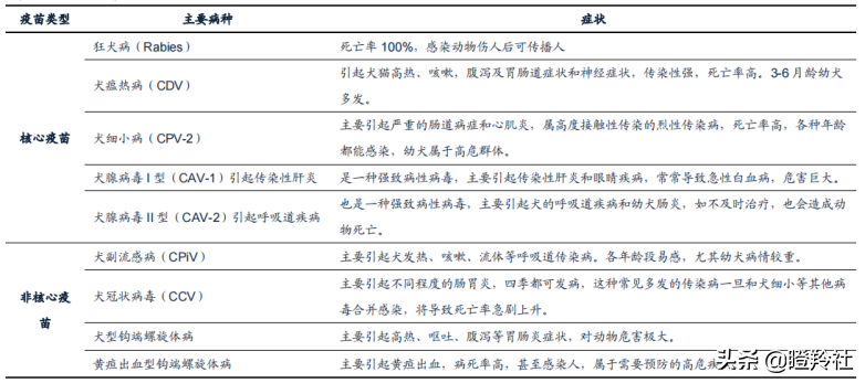 价格飞涨，一针难求！被垄断的百亿蓝海赛道，国产厂商带头突围？