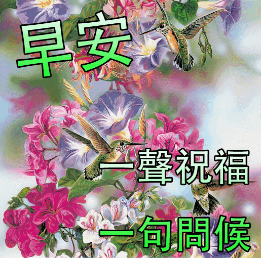 朋友圈祝福早上好语录文字图片 时间流逝、友谊长存图片
