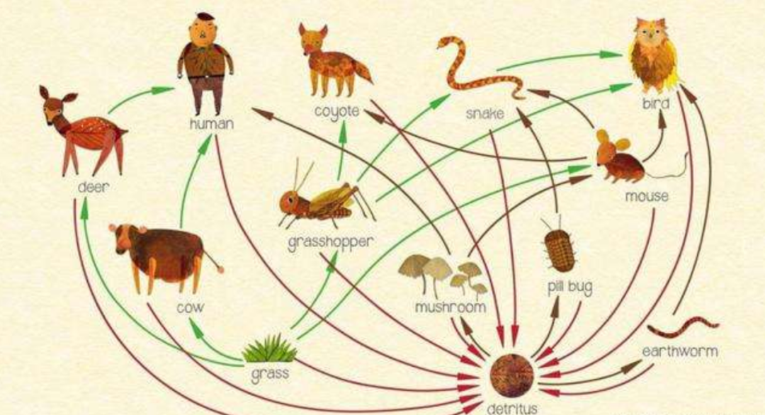 因此我们对于生物的一系列研究,其实也是对环境的深入了解,对于我们