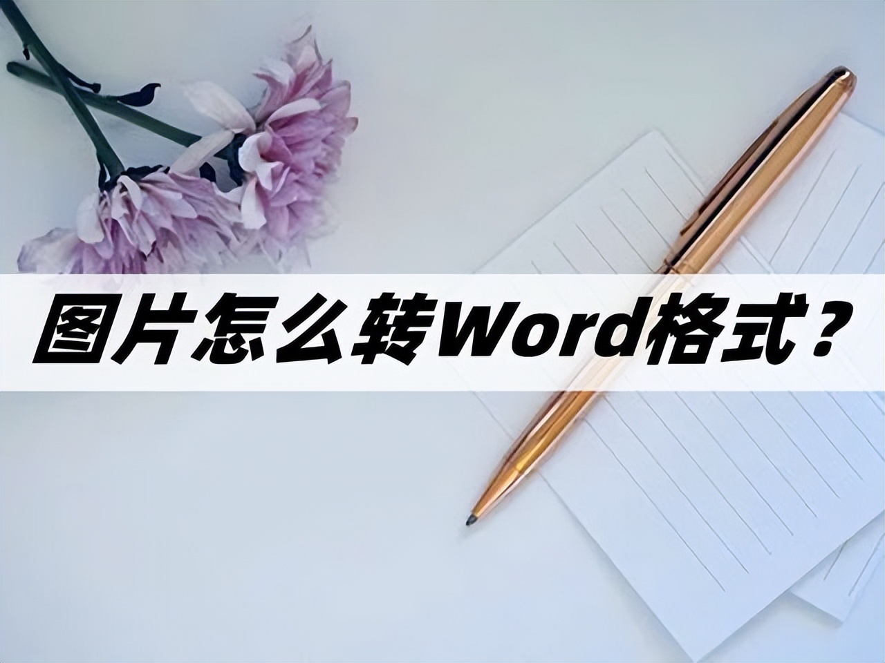 图片怎么转word格式(word文件怎么转化格式)