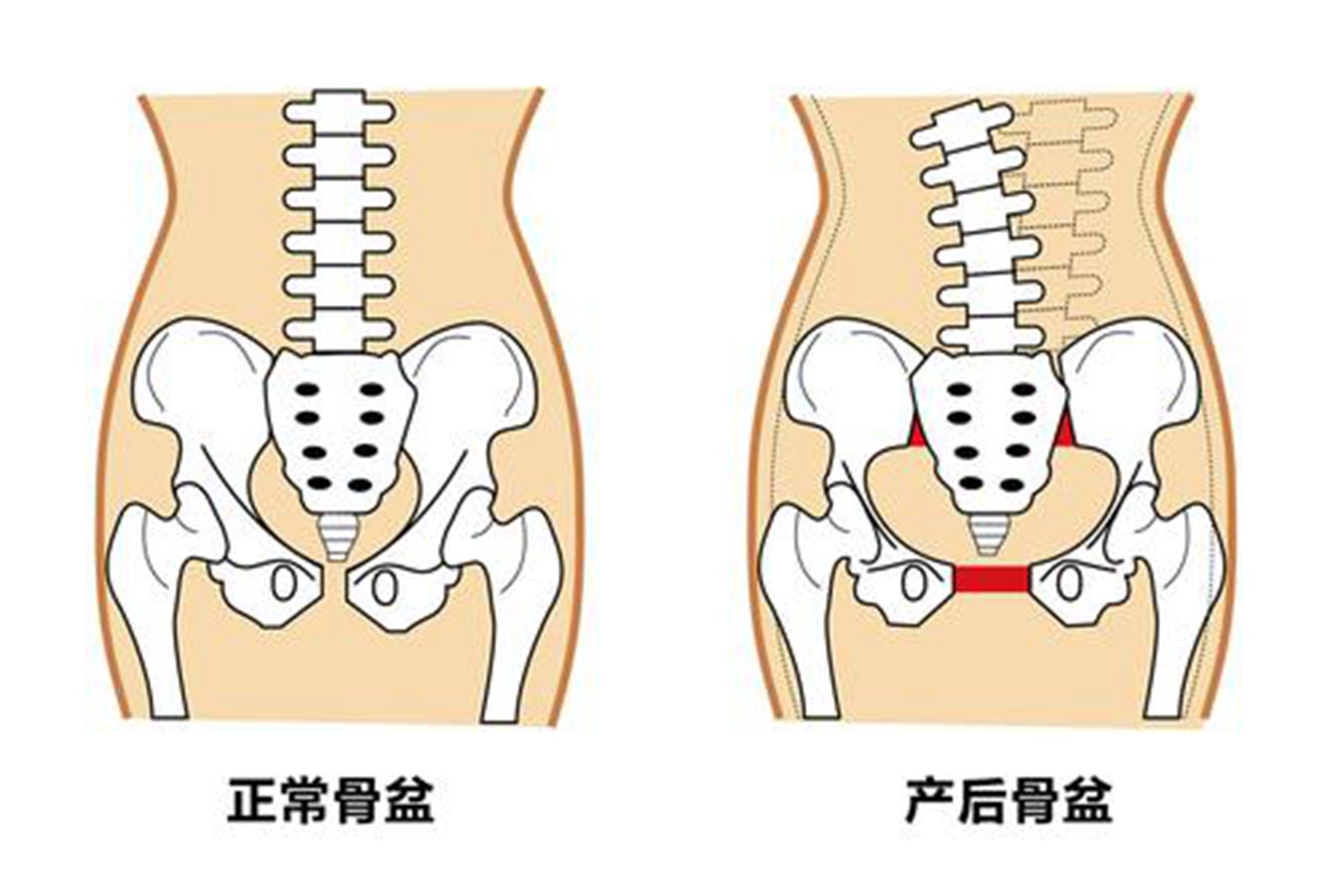 怀孕1—40周,孕妈体内8大系统将会发生变化,新手孕妈不用恐慌