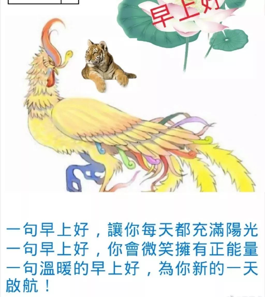 新版早上好微信祝福语录大全 一句问候，幸福安康图片