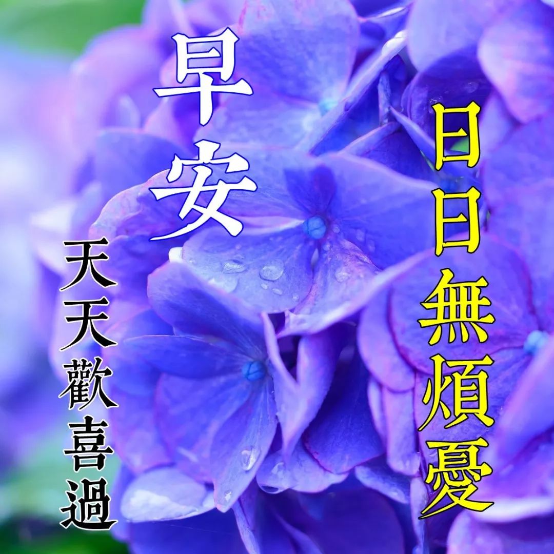 星期六清晨早上好问候祝福动态表情图片 开心快乐每一天图片
