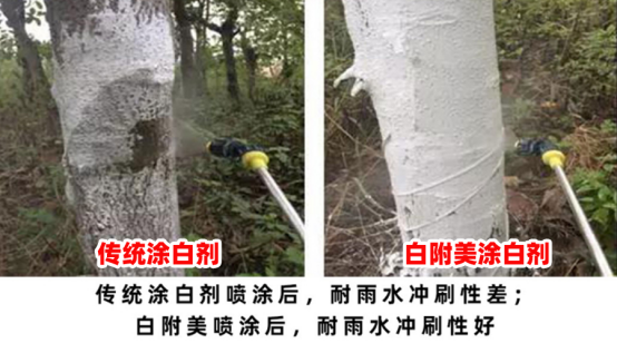 为什么古代树木没有刷白(关于树木涂白的问题)