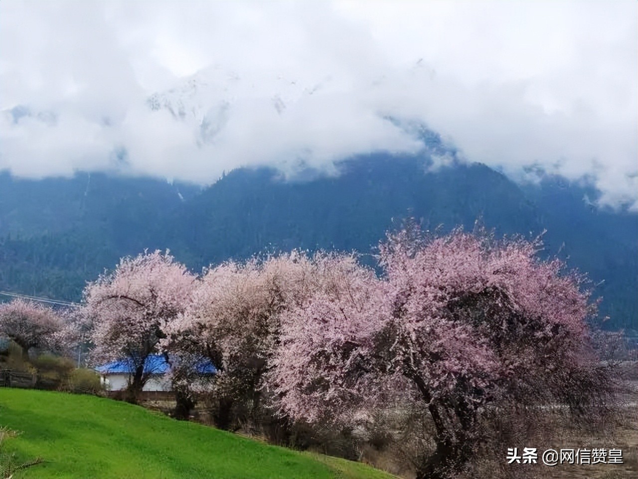十首古诗致青春：愿我们出走半生，归来仍是少年