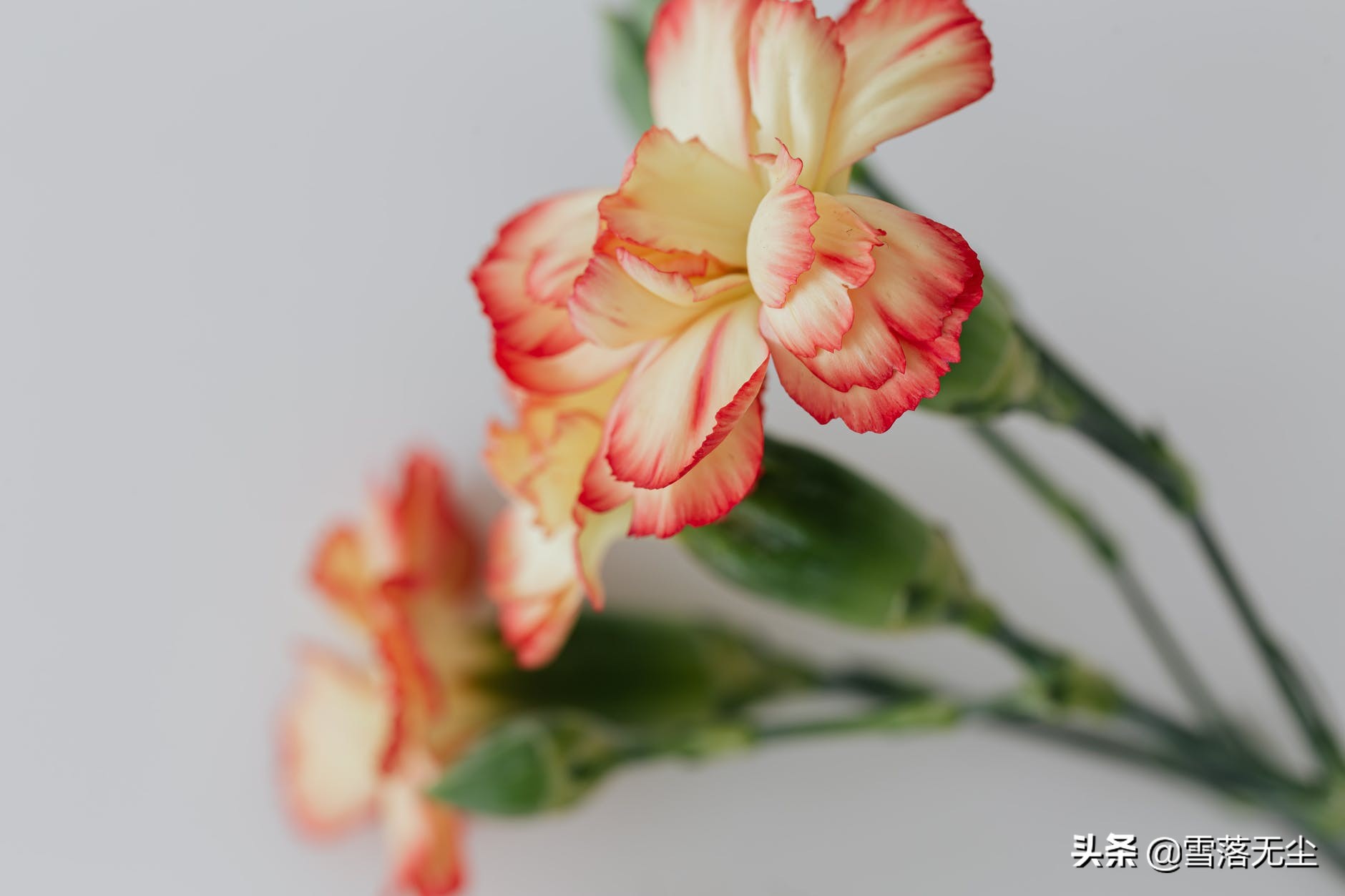 男人如此对你，才是真的把你放在心里了，不会再离开