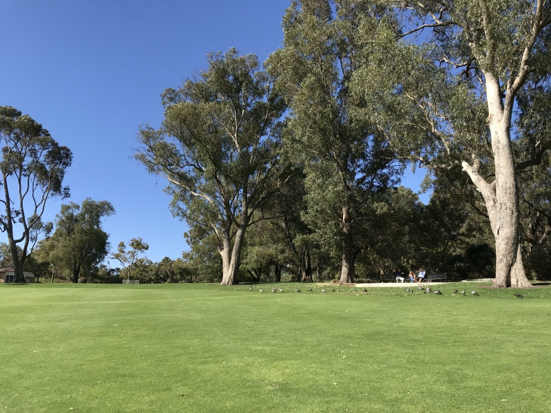 新加坡硕士留学专业有哪些