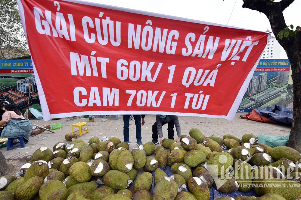 泰国菠萝蜜在越南马路边上大甩卖(只因没法出口到中国)