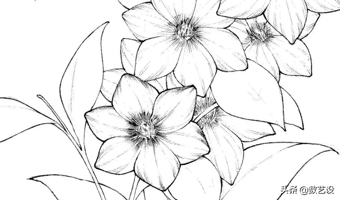 只用2种颜色,怎么把花画好看?