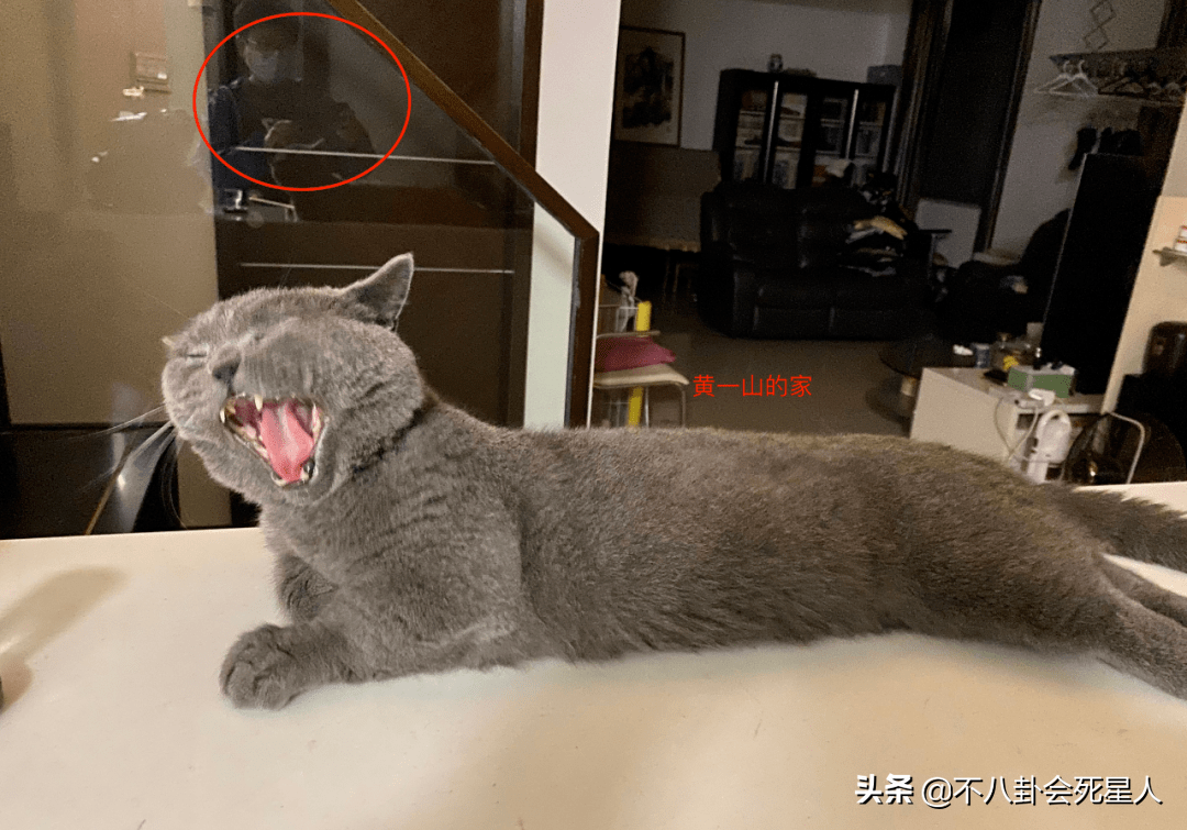 落魄商演，千元付费聊天，这些港星在内地表面缺钱，实际身家不菲