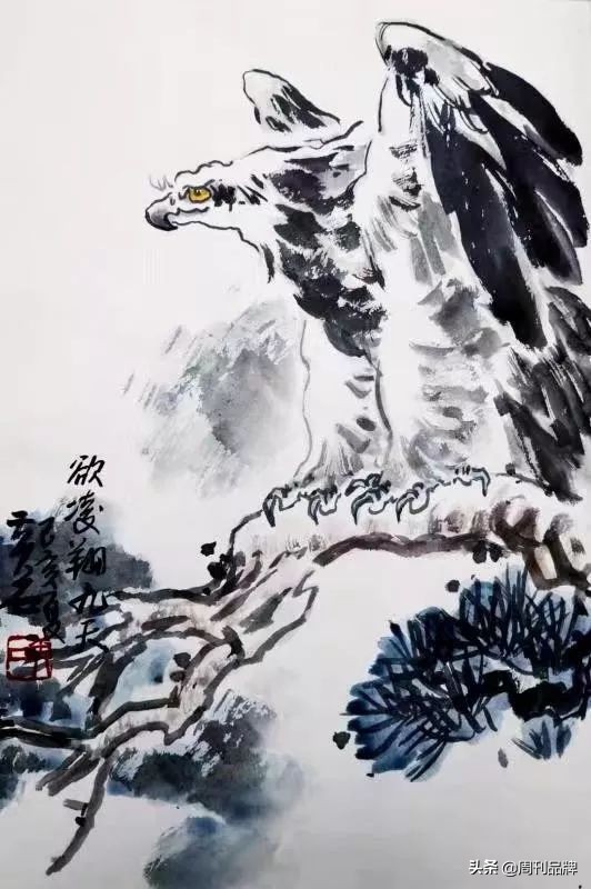 笔传鹰神话|黄石——鹰的重生,给生命的启迪