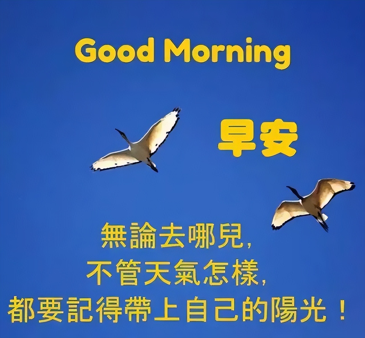 周二早上好温馨祝福句子送给大家 早安我的朋友，心好一切都好图片