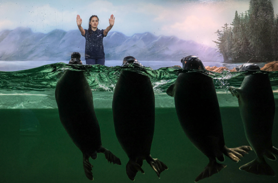 Ӷǵˮຣ2000๫Ϊš