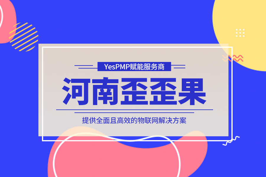 国内领先的一站式互联网外包平台推荐-河南歪歪果网络科技