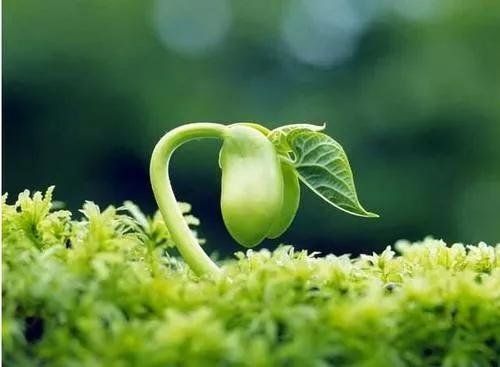 中考政策调整，2023落地实行，最后的机会