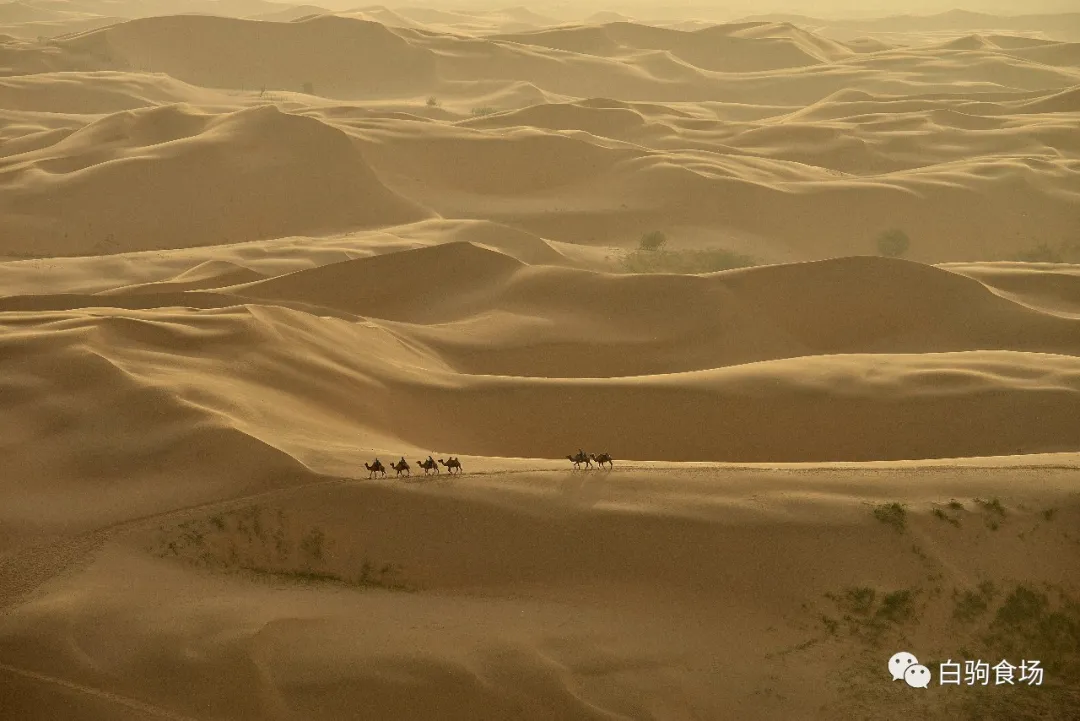 《天道》：悲剧人物告诉我们的道理更珍贵