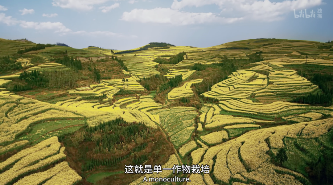 豆瓣第一电影