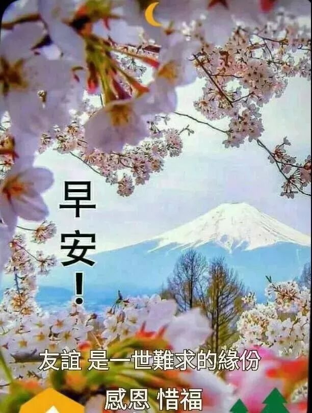 清晨暖心早上好祝福语 感恩相遇，友情来之不易，愿我们平安快乐图片