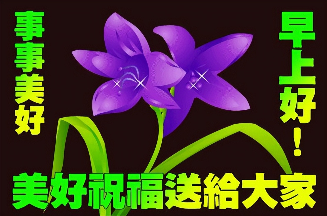 春天里创意动态鲜花图片暖心祝福早上好句子 周六愉快图片