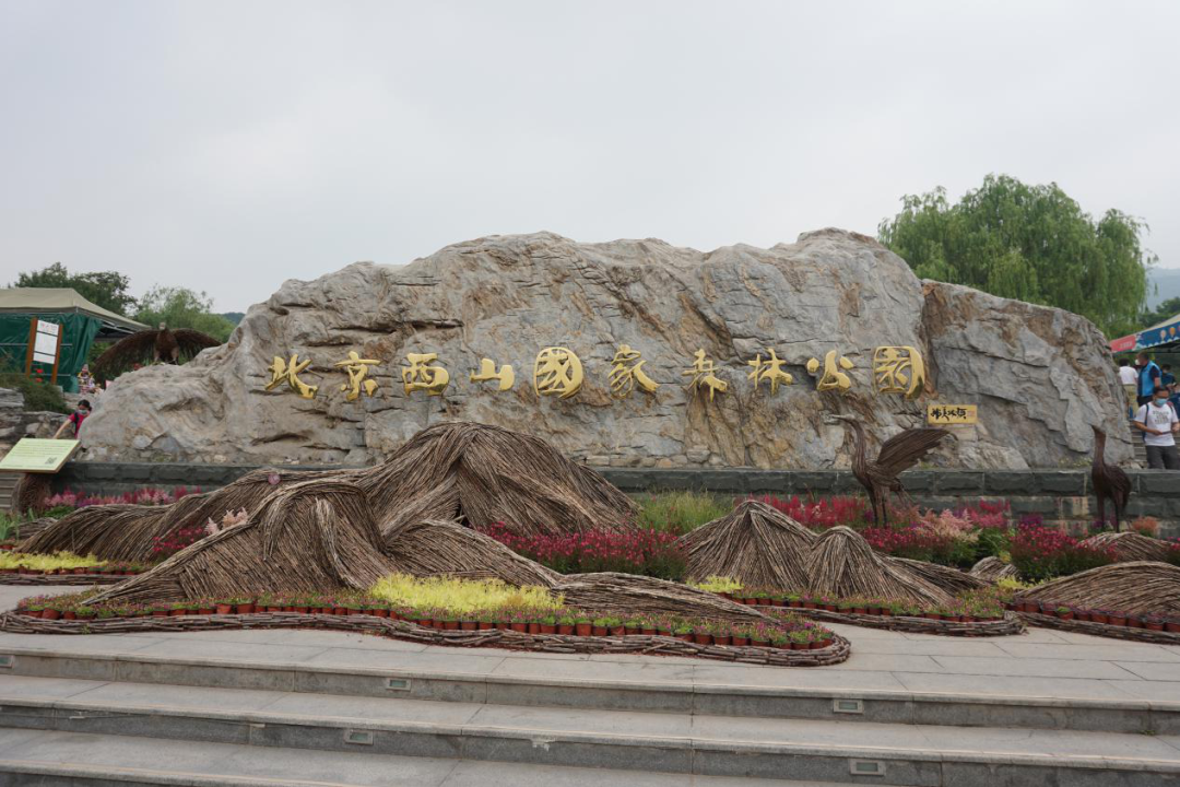 北京西山国家森林公园夏日游园指南