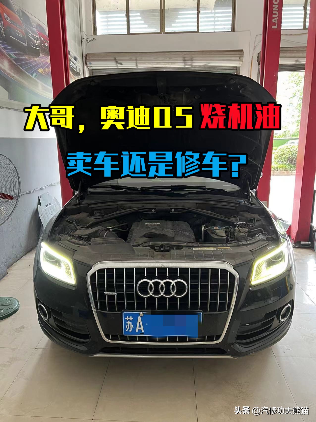 奥迪Q5烧机油怎么修(奥迪Q5烧机油怎么处理)