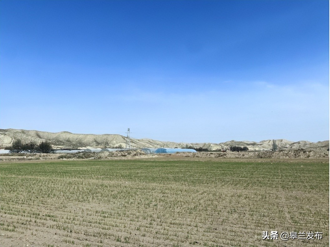 ������ʯ�������Ǵ壺����������������ϣ��