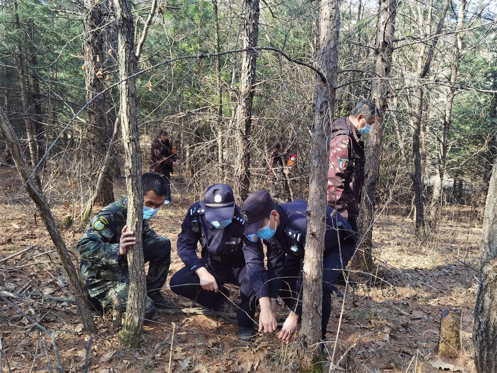 黑龙江省林区公安局林口分局“三同步”加强野生动物保护 严防野生动物伤人伤畜