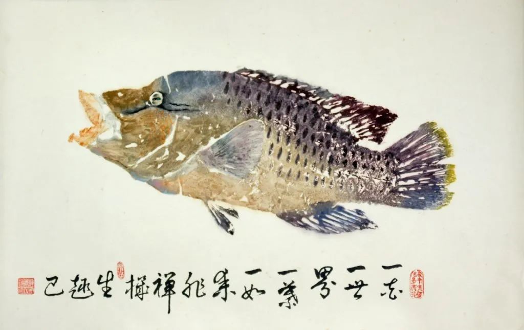 「魚類百科」 魚拓制作詳解