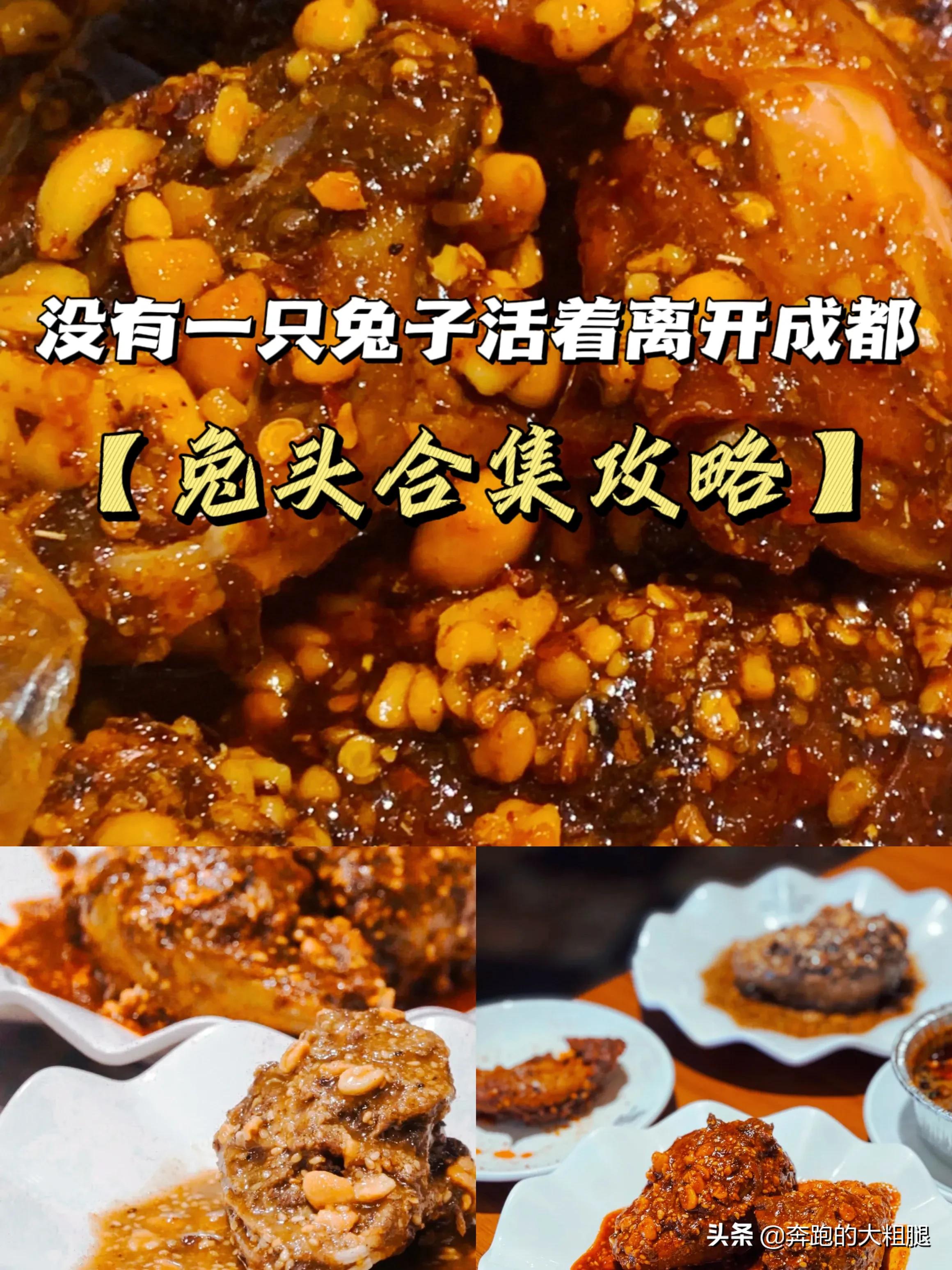 没有一只兔子活着离开成都「兔头合集攻略」