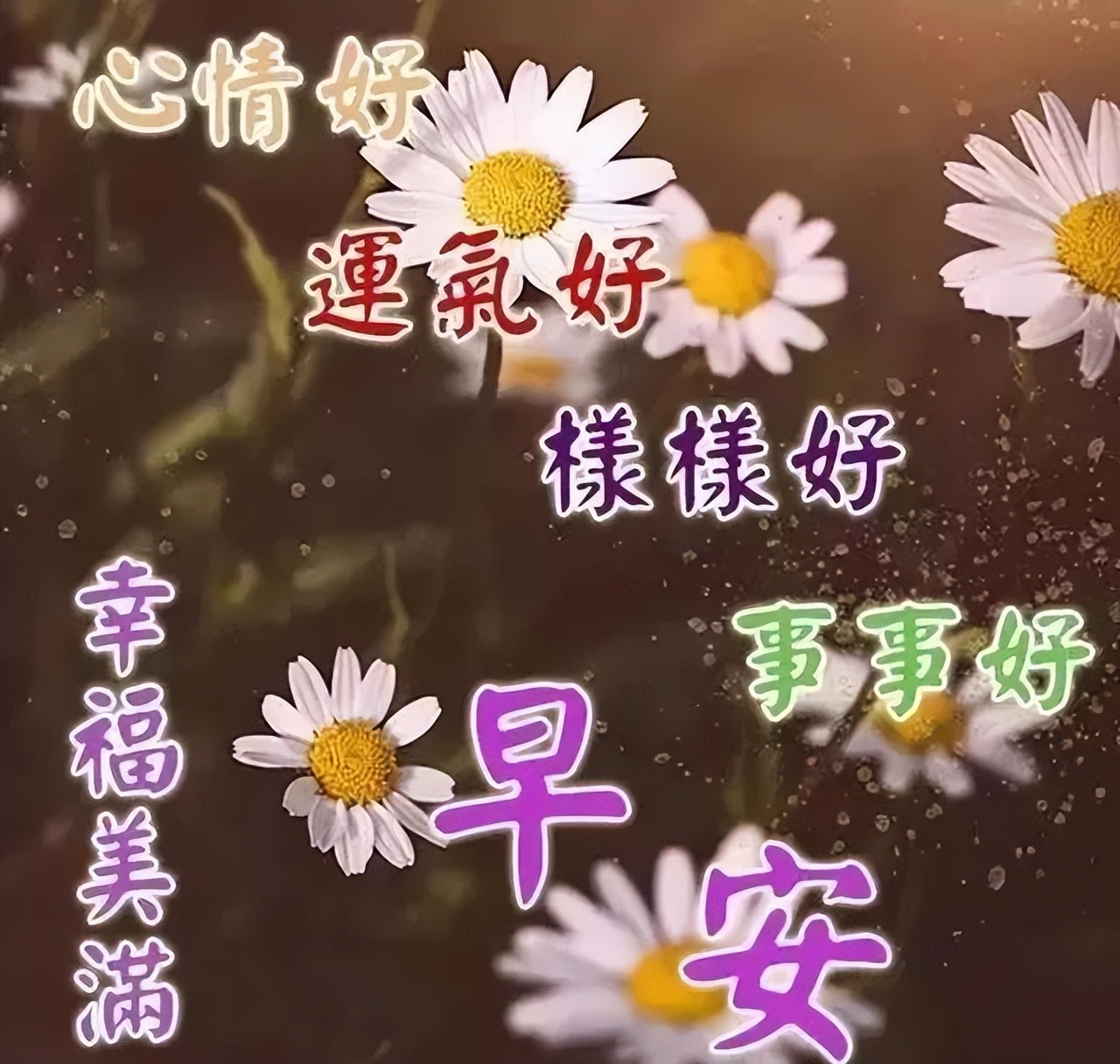 最新微信早安表情包，愿你生活美满，一生健康，心宽最富裕图片