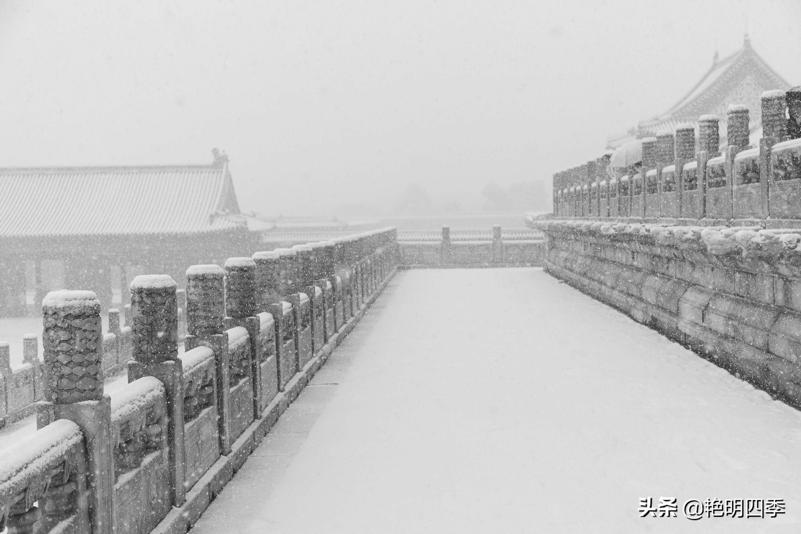 春天里，在紫禁城看一场大雪，与冬天做一个郑重的告别