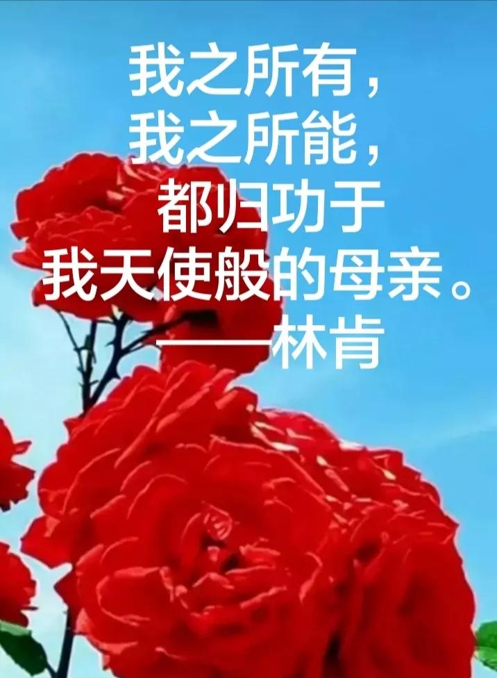 赞美母爱优美的句子