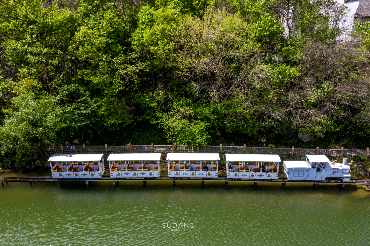 武汉的这个景区堪称“唯一”，38元的樱花火车驶向湖泊，惊艳无比