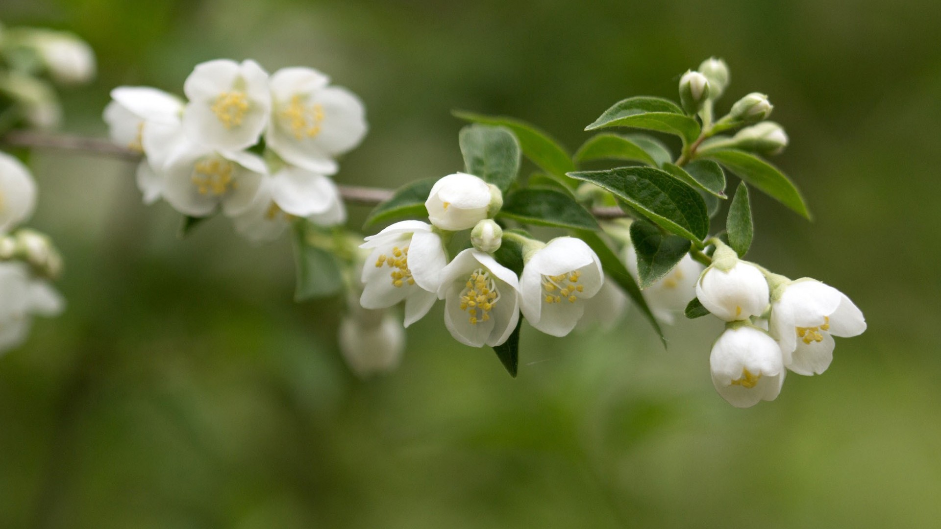 成年人的世界哪有“容易”二字，不过都是在一地鸡毛中度过