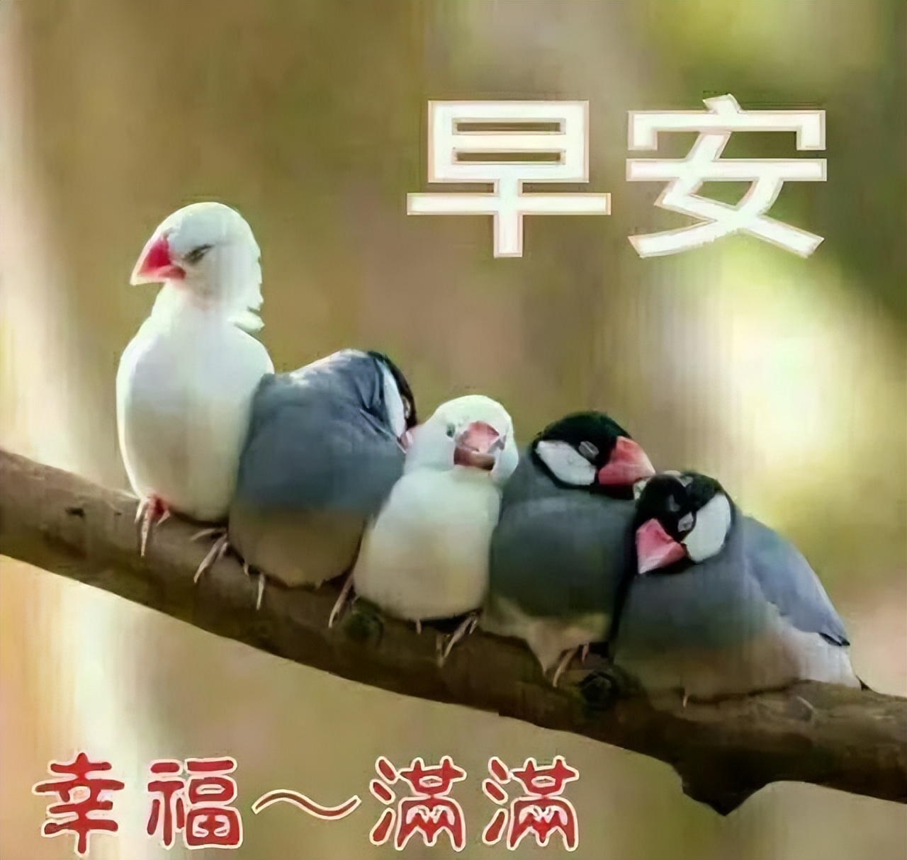 漂亮的风景早上好图片带字 暖心的早安问候语 美好的一天要开心图片