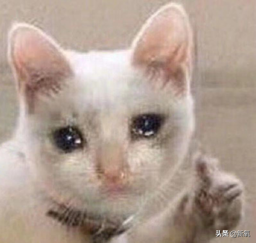 是给的太多了么？她俩之前可是厌恶舞台到顶级巡演都缺席不去…