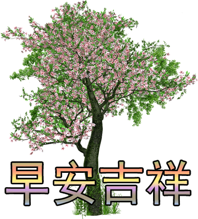 周二早上好温馨祝福句子送给大家 早安我的朋友，心好一切都好图片