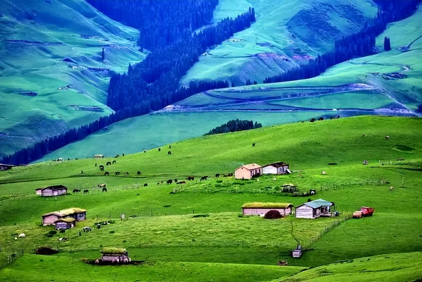 新疆伊犁，这条800公里的风景长廊，到底有多美？