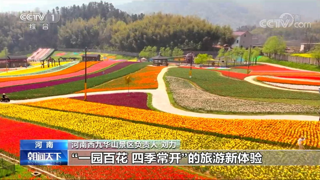 央視新聞再次聚焦西九華山景區(qū)花千谷成為全國(guó)賞花經(jīng)濟(jì)的一抹亮色