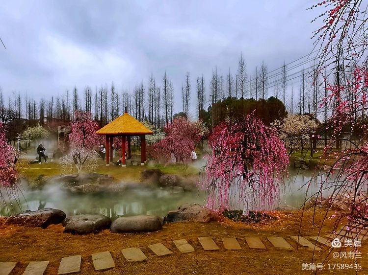 烟雨蒙蒙问花村 作者：武术兰