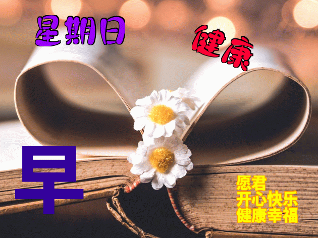 清晨美女问候早上好漂亮早上好表情包祝福语 愿君开心快乐 健康平安图片