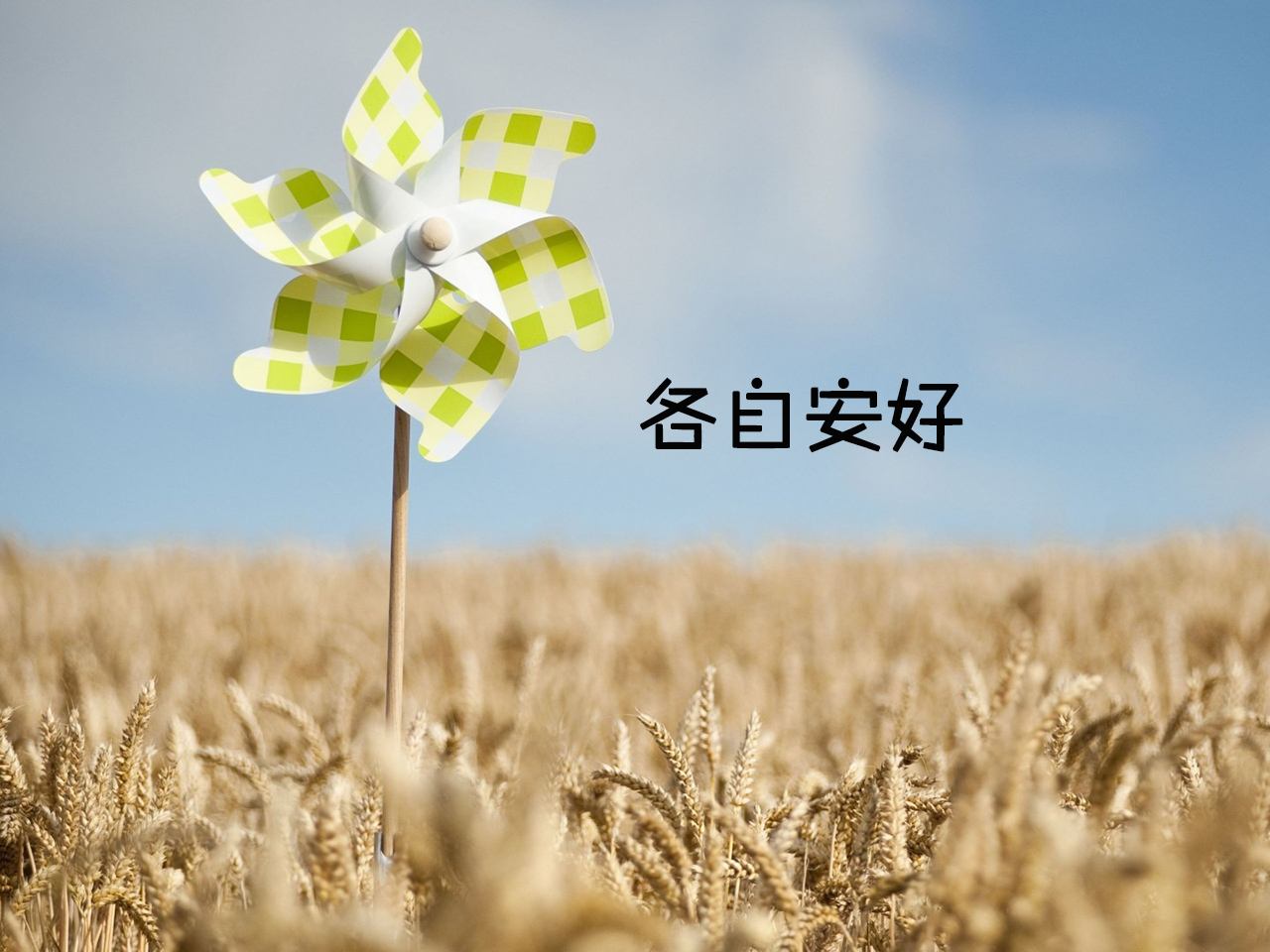 白头偕老终成空，各自安好是结局